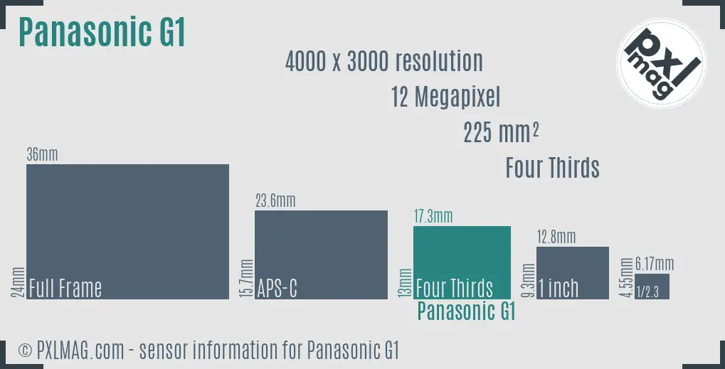 Panasonic Lumix DMC-G1 sensor size
