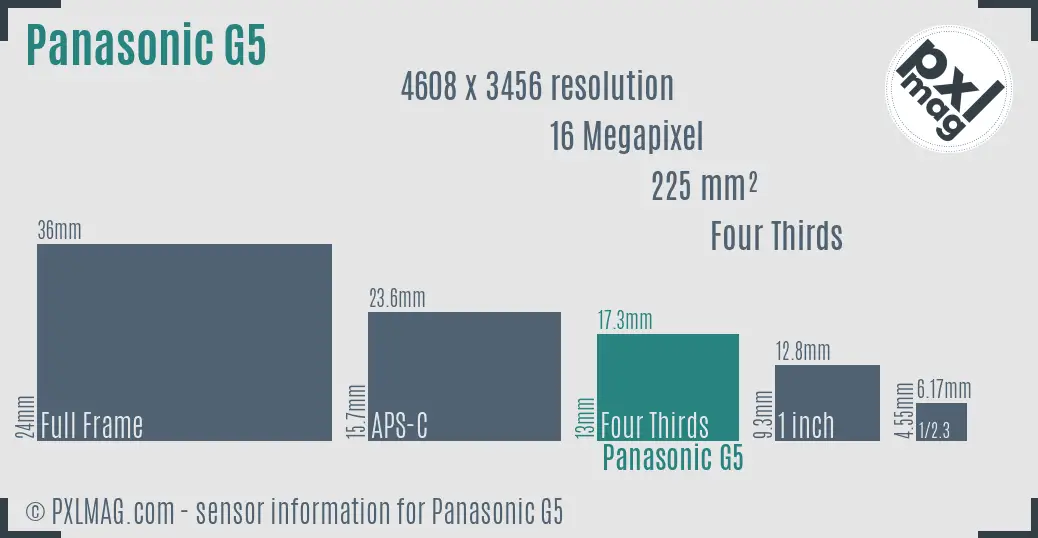 Panasonic Lumix DMC-G5 sensor size