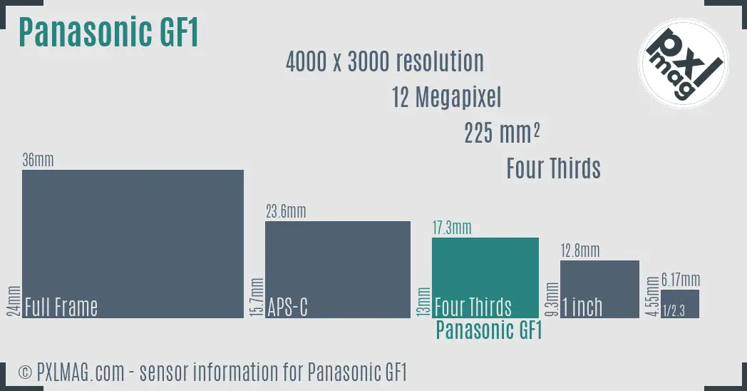 Panasonic Lumix DMC-GF1 sensor size
