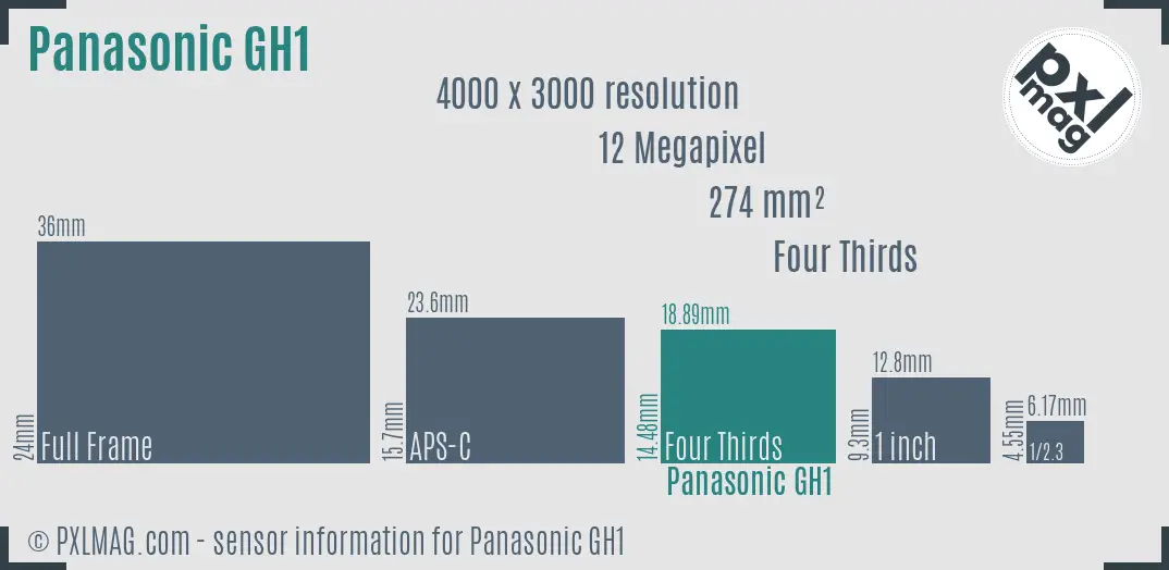 Panasonic Lumix DMC-GH1 sensor size