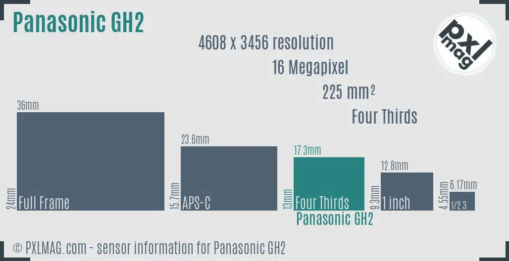 Panasonic Lumix DMC-GH2 sensor size