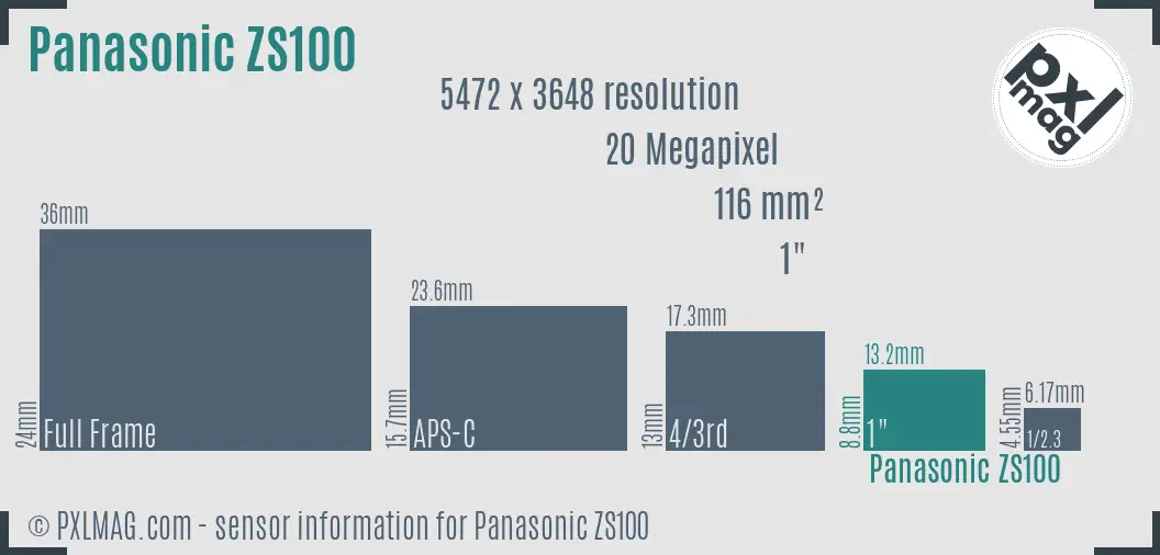 Panasonic Lumix DMC-ZS100 sensor size