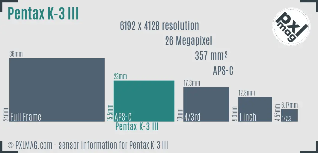 Pentax K-3 Mark III sensor size