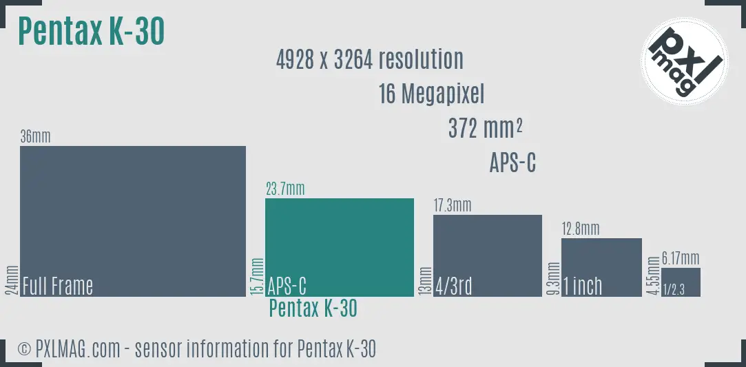 Pentax K-30 sensor size