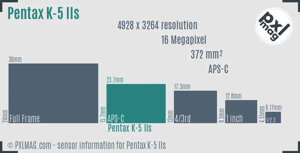 Pentax K-5 IIs sensor size