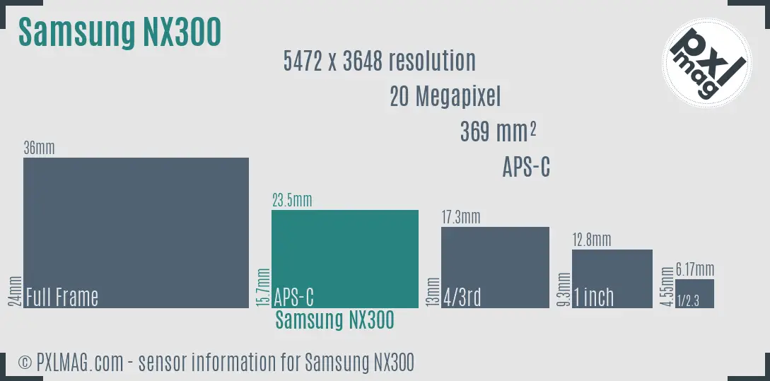 Samsung NX300 sensor size