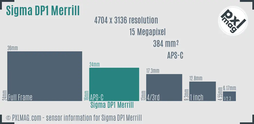 Sigma DP1 Merrill sensor size