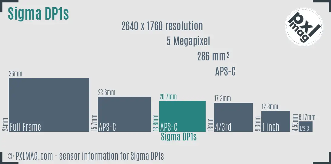 Sigma DP1s sensor size