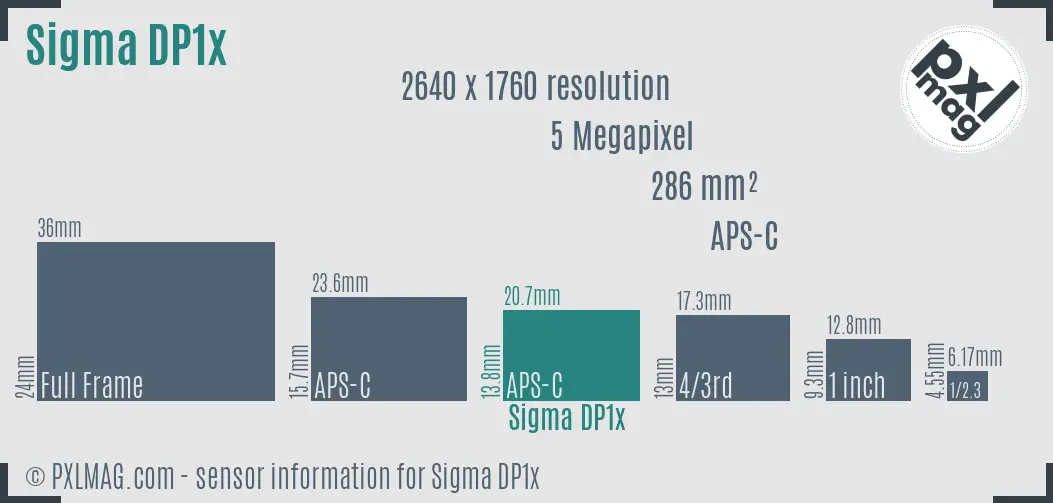 Sigma DP1x sensor size