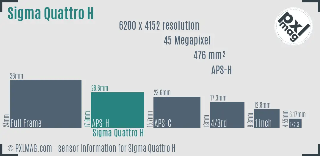 Sigma sd Quattro H sensor size