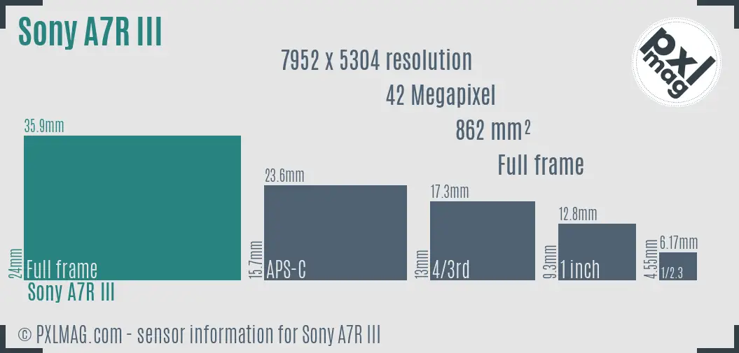 Sony Alpha A7R III sensor size
