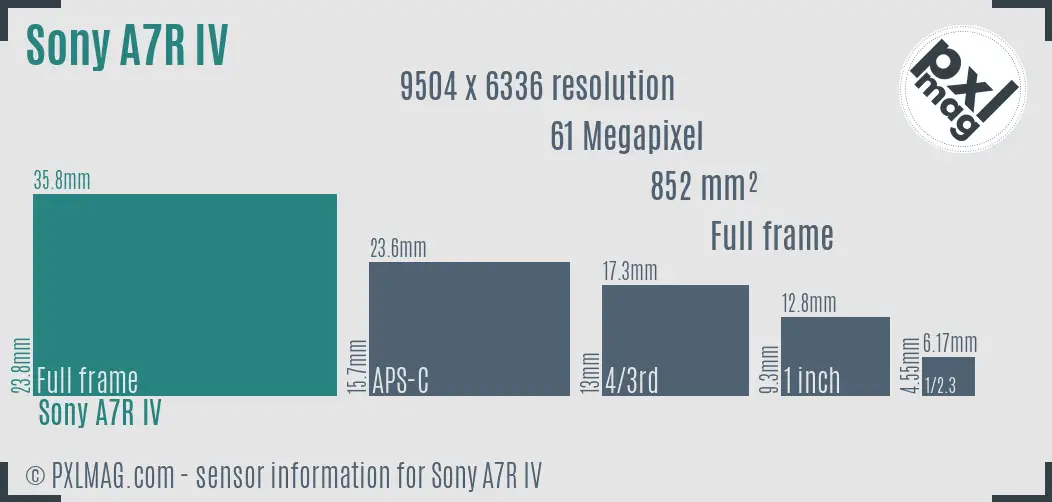 Sony Alpha A7R IV sensor size