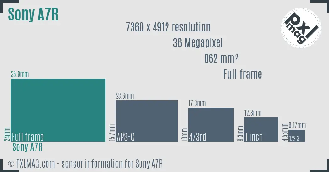 Sony Alpha A7R sensor size