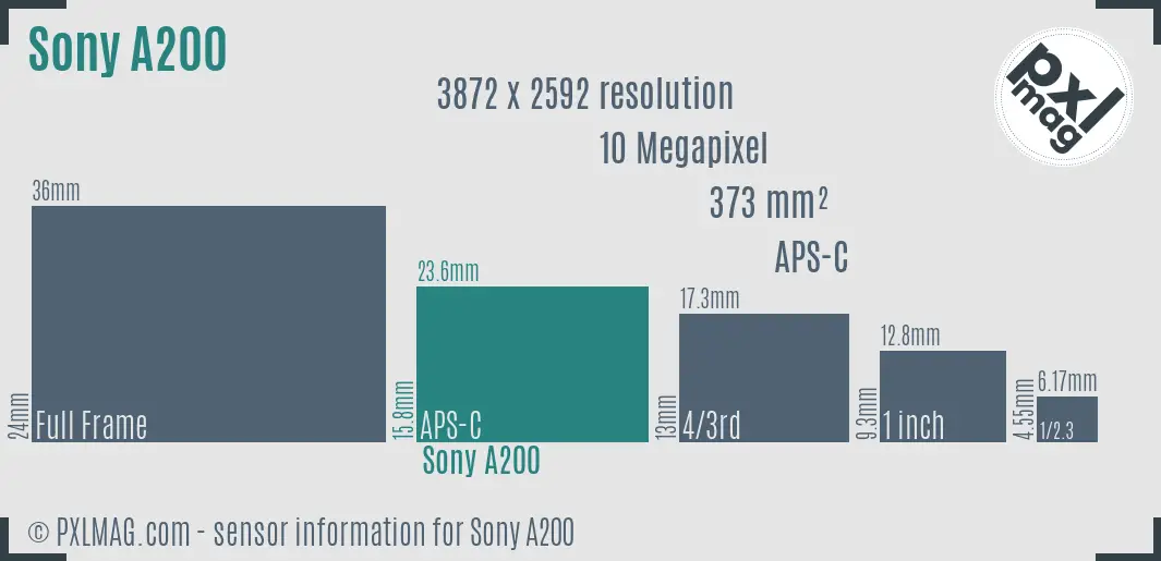 Sony Alpha DSLR-A200 sensor size