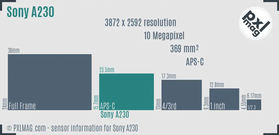 Sony Alpha DSLR-A230 sensor size