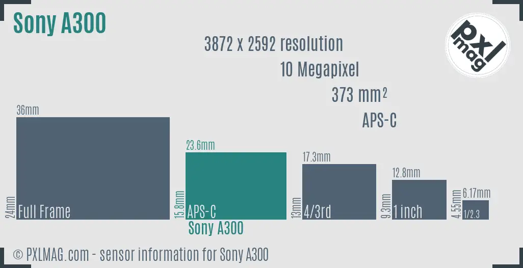 Sony Alpha DSLR-A300 sensor size