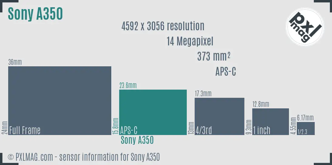 Sony Alpha DSLR-A350 sensor size