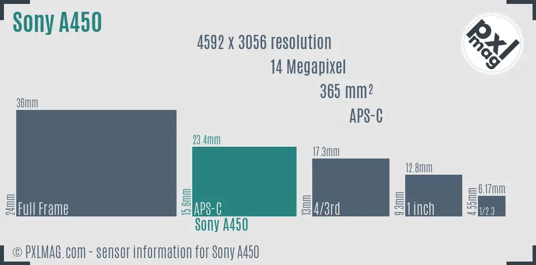 Sony Alpha DSLR-A450 sensor size