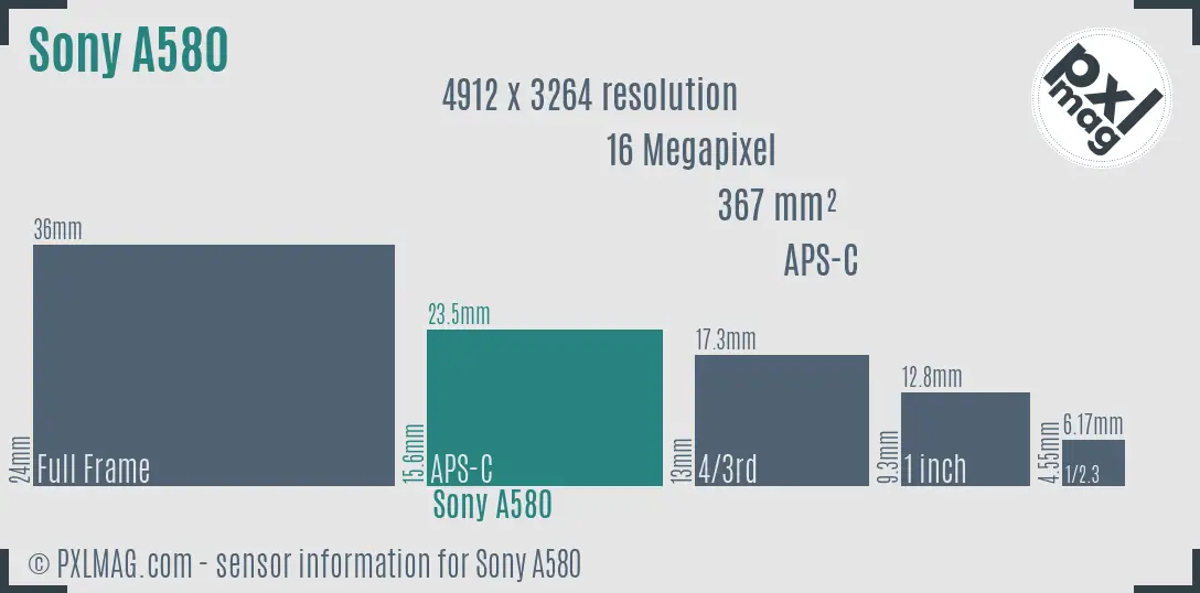 Sony Alpha DSLR-A580 sensor size