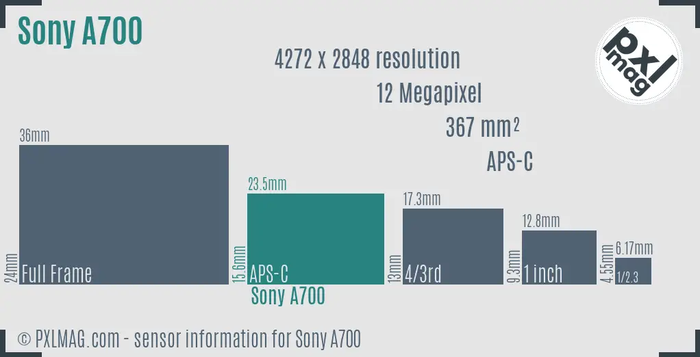Sony Alpha DSLR-A700 sensor size