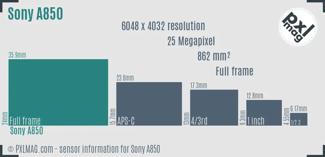 Sony Alpha DSLR-A850 sensor size