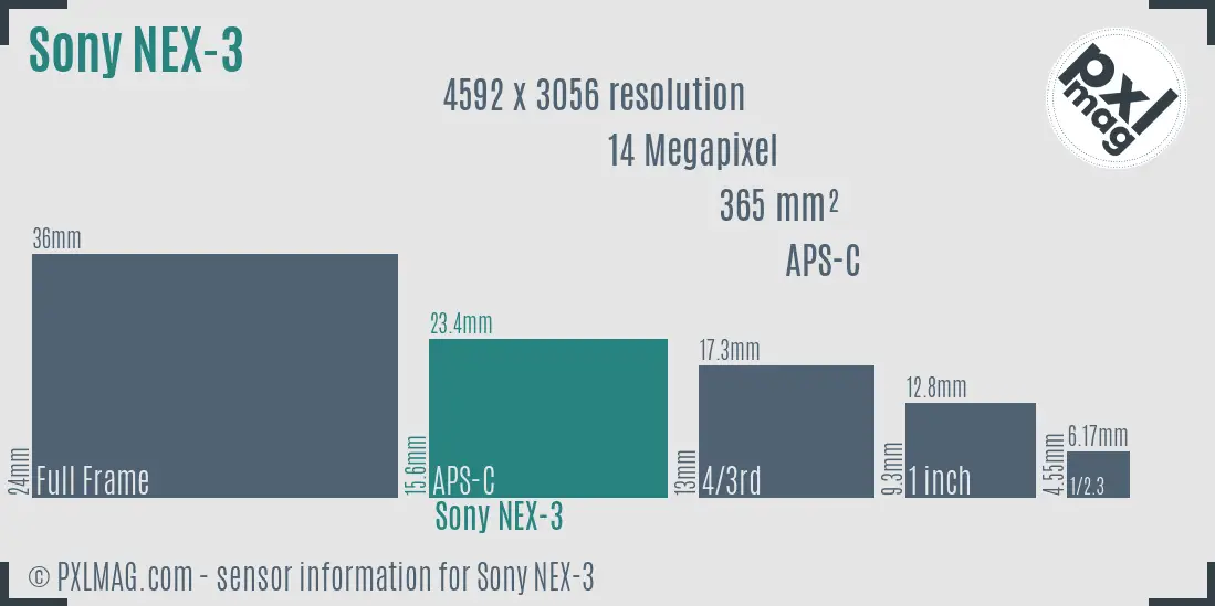 Sony Alpha NEX-3 sensor size
