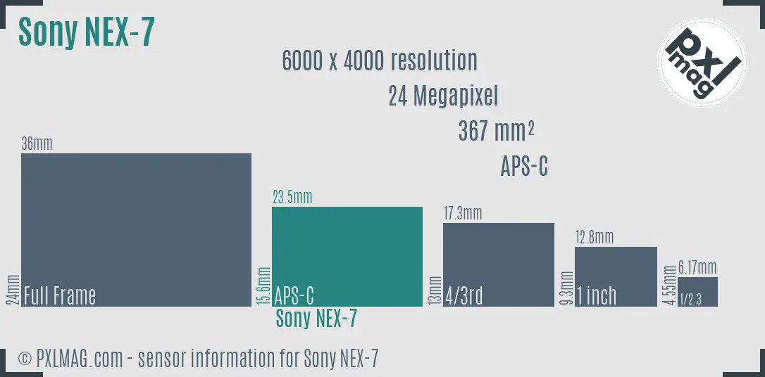 Sony Alpha NEX-7 sensor size