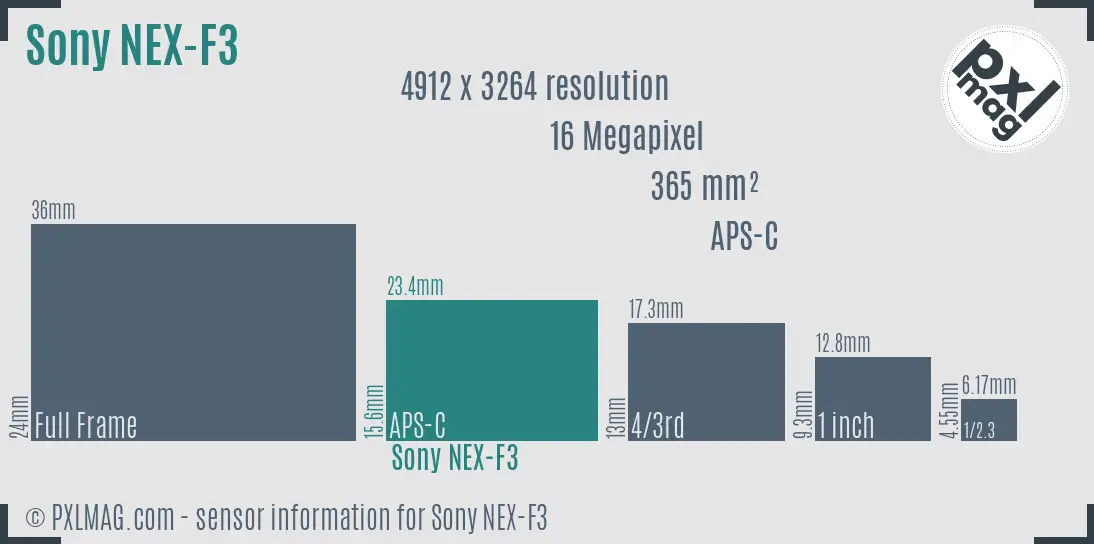 Sony Alpha NEX-F3 sensor size