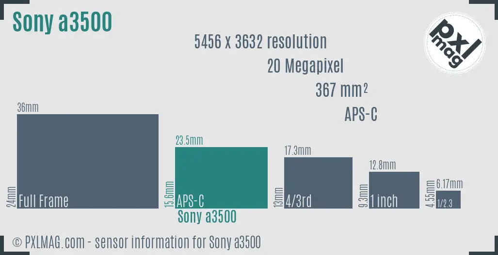Sony Alpha a3500 sensor size