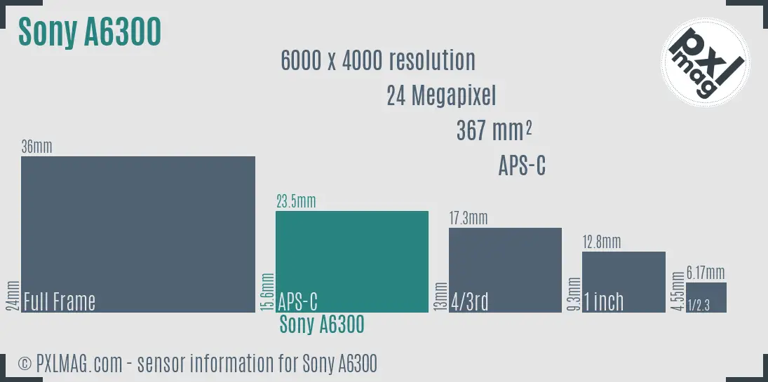 Sony Alpha a6300 sensor size