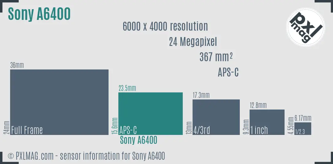 Sony Alpha a6400 sensor size