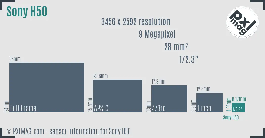 Sony Cyber-shot DSC-H50 sensor size