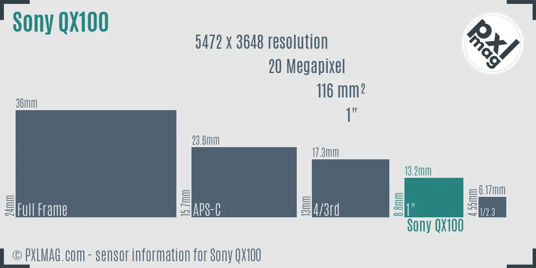 Sony Cyber-shot DSC-QX100 sensor size