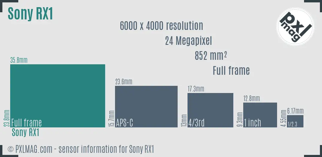 Sony Cyber-shot DSC-RX1 sensor size