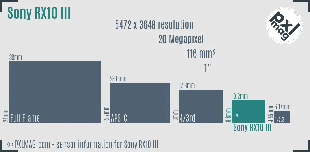 Sony Cyber-shot DSC-RX10 III sensor size