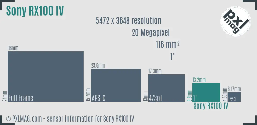 Sony Cyber-shot DSC-RX100 IV sensor size
