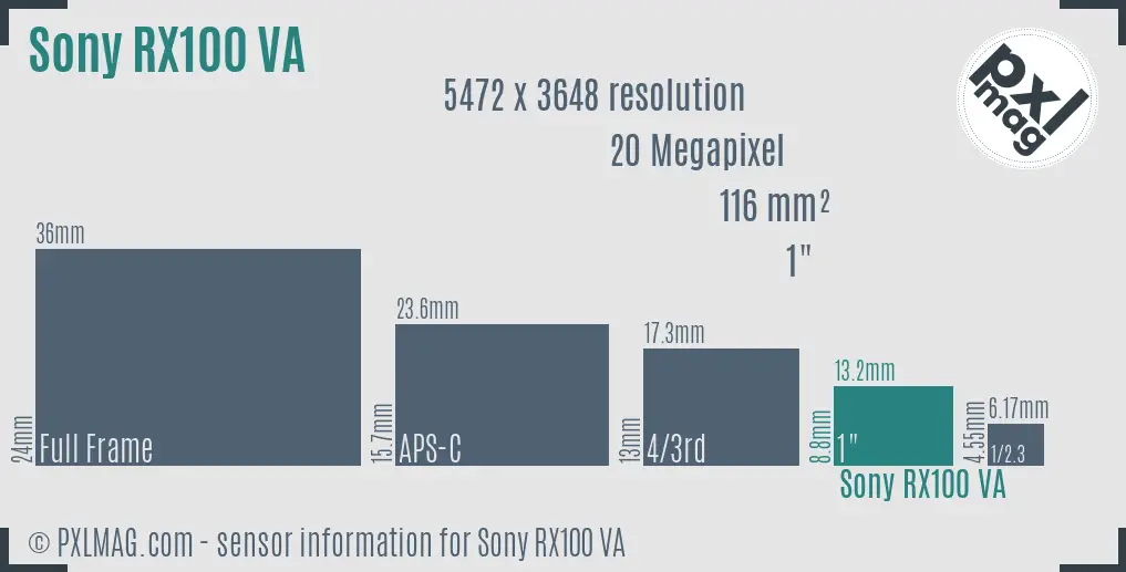 Sony Cyber-shot DSC-RX100 V(A) sensor size