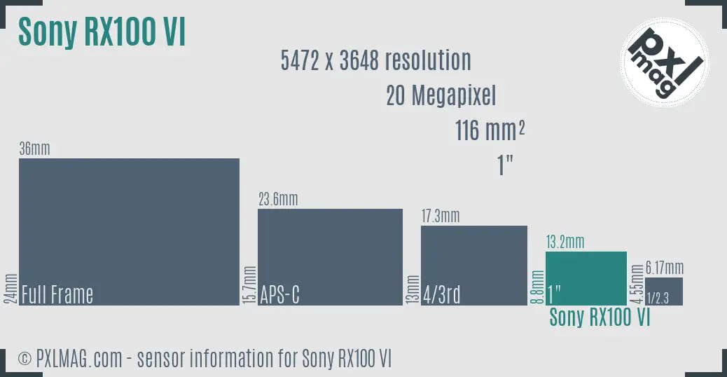 Sony Cyber-shot DSC-RX100 VI sensor size
