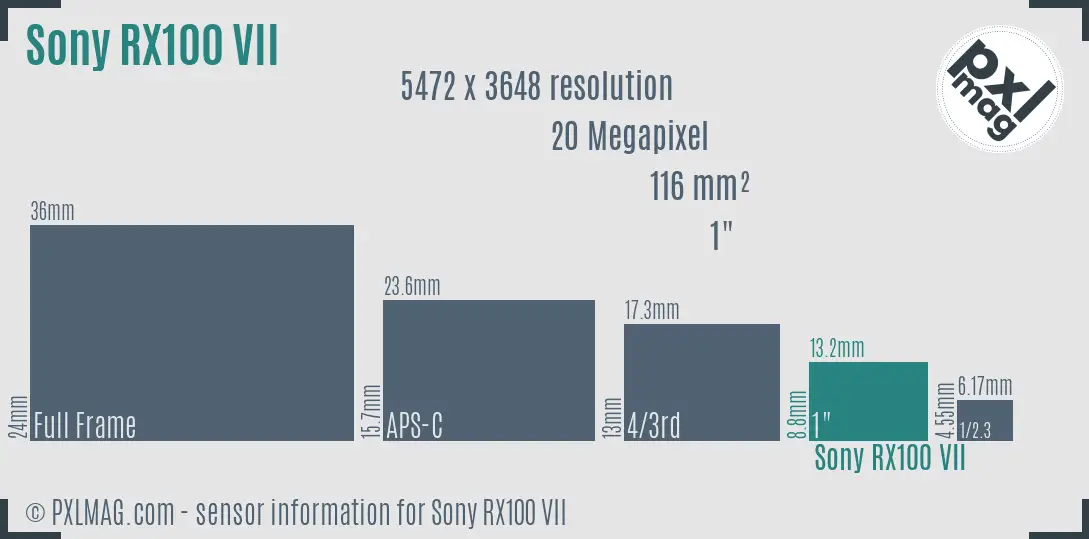 Sony Cyber-shot DSC-RX100 VII sensor size