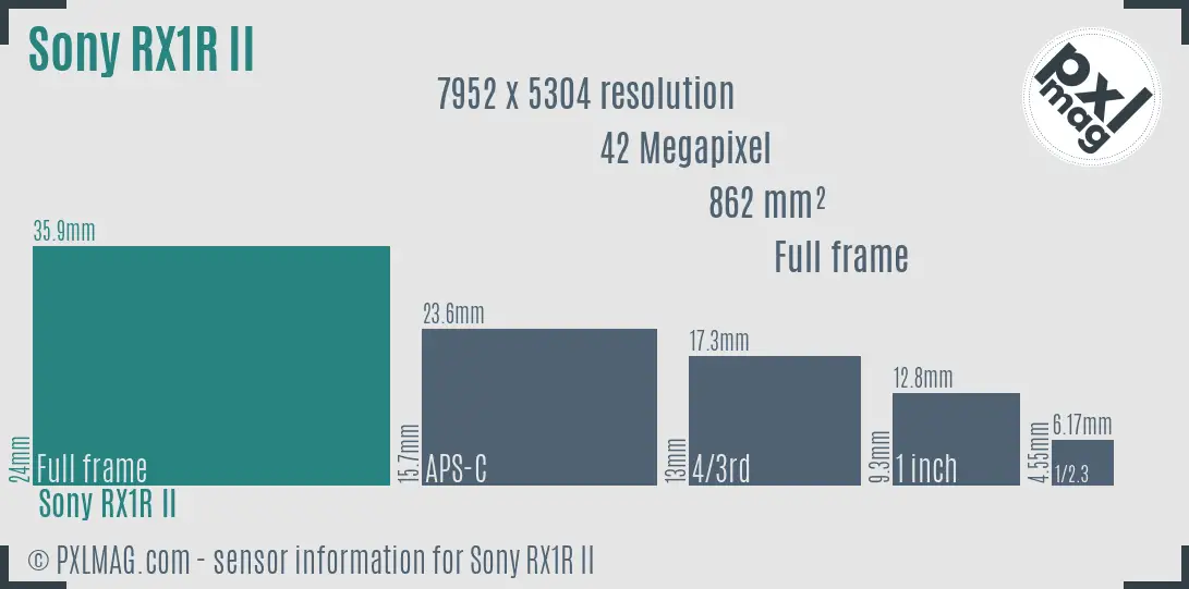 Sony Cyber-shot DSC-RX1R II sensor size