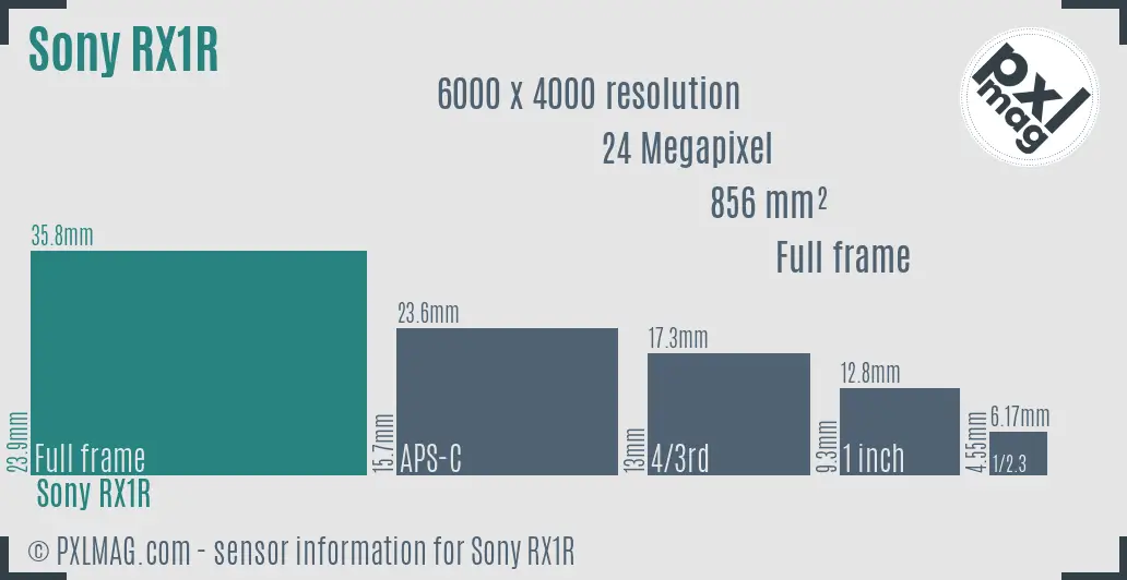 Sony Cyber-shot DSC-RX1R sensor size