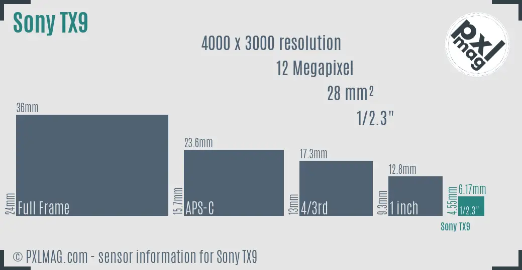 Sony Cyber-shot DSC-TX9 sensor size