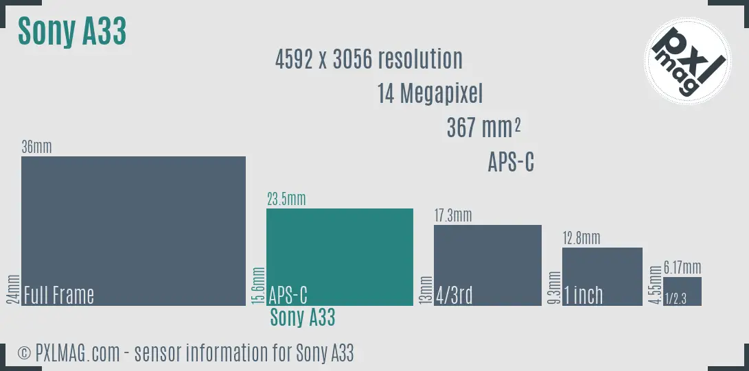 Sony SLT-A33 sensor size