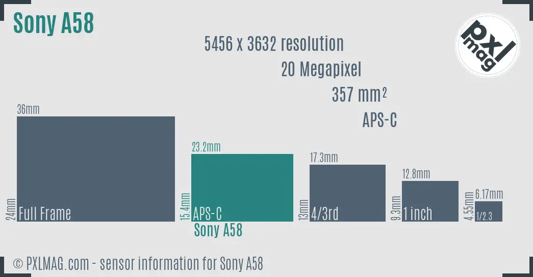 Sony SLT-A58 sensor size