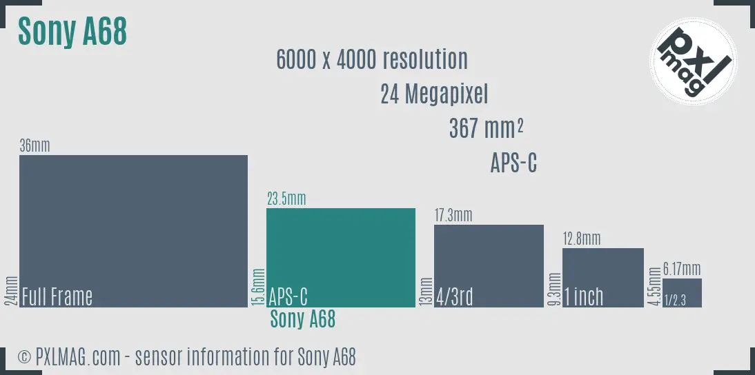Sony SLT-A68 sensor size