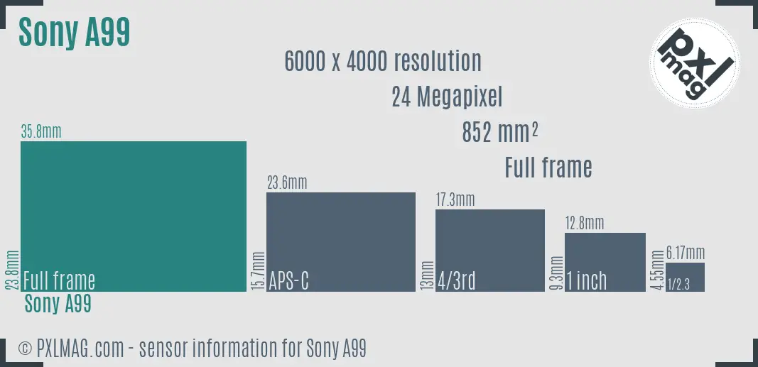 Sony SLT-A99 sensor size