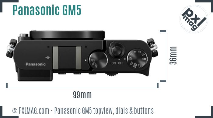 Panasonic Lumix DMC-GM5 topview buttons dials